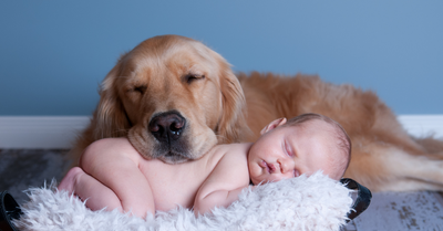 How to Introduce Your New Baby to your Dog